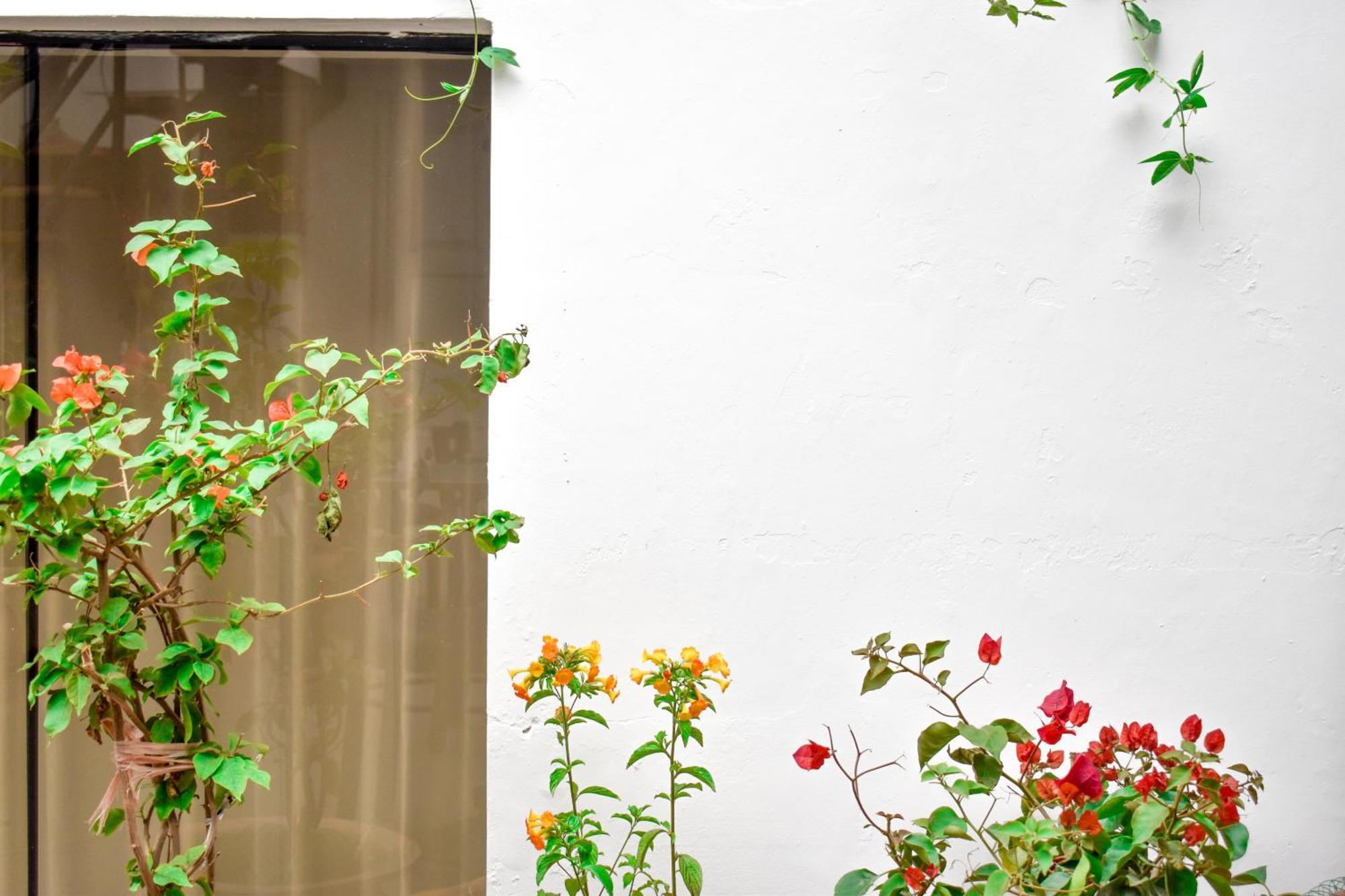 Apart Hotel El Puma Cusco Ngoại thất bức ảnh
